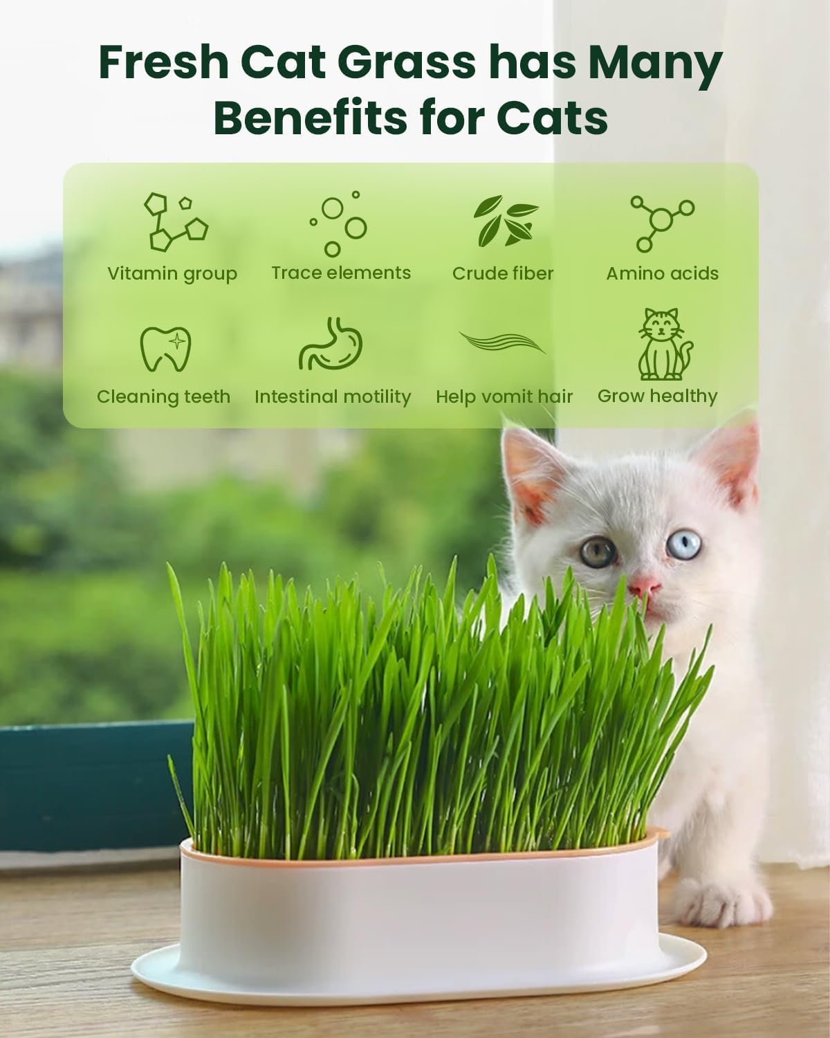 Detalle 2 de Cat Grass Growing Kit 3-Pack