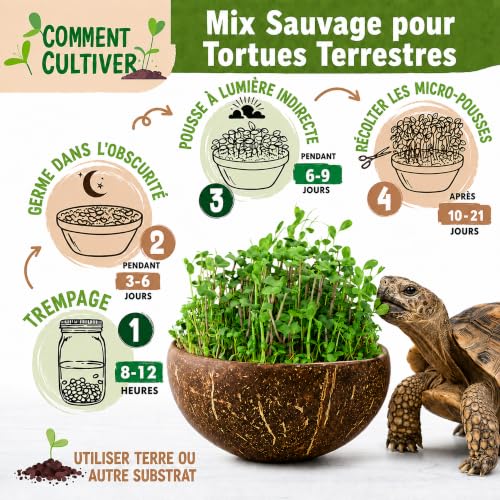 Detalle de AF® - Graine Tortue Terrestre à Semer, Mélange 4 Plantes Sauvages pour Testudo Hermann en Enclos | 40g