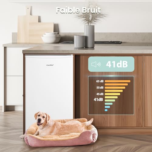 Detalle de COMFEE' RCU60WH2(E) Mini Congélateur 60 L – Monoporte, Blanc