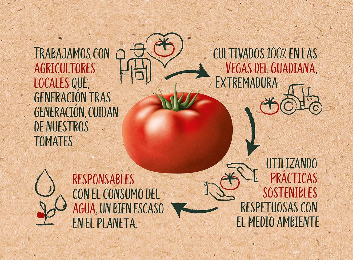 Thumbnail 5 de SOLÍS Tomate Frito Casero 🍅 Pack 12x550g Sin Gluten