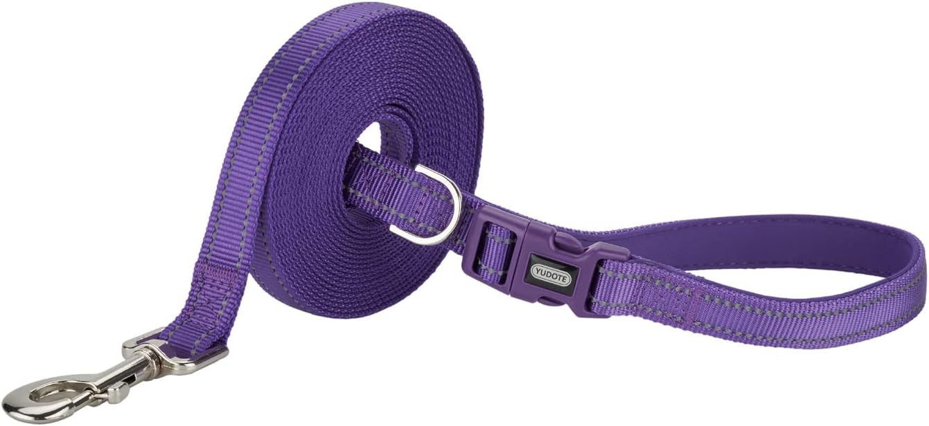 Detalle de Petiry Long Dog Training Lead 5m with Reflective Strong Nylon Webbing & Padded Handle (Purple)
