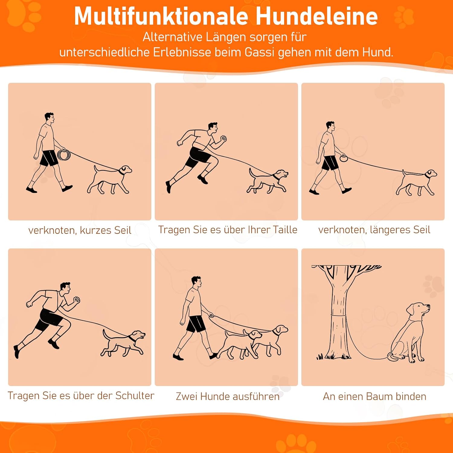 Detalle de Aystkniet 3M Verstellbare Hundeleine für Große und Mittlere Hunde – 2 m/3 m, Reflektierend, 12 mm Nylon, 250 kg Belastung