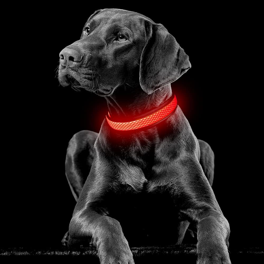 Detalle 1 de YFbrite Light up Dog Collar 8h battery