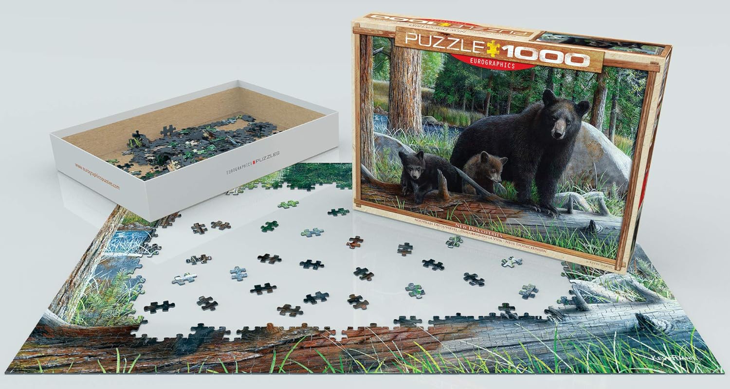 Detalle 1 de EuroGraphics Puzzle „Neue Entdeckungen von Kevin Daniel“ (1000 Teile) – smart-cut mit mattiertem Finish