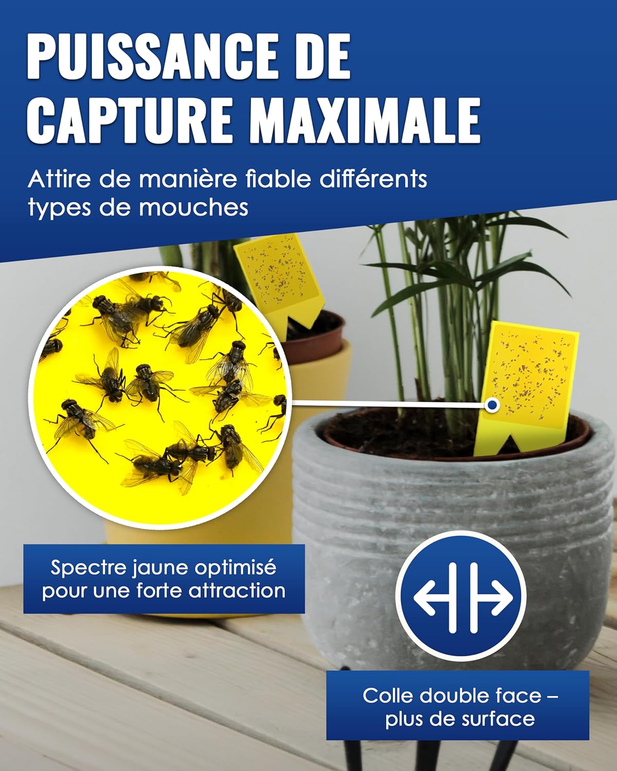 Thumbnail 2 de PIC Piège anti-moucherons pour plantes d’intérieur (60 pièges adhésifs recto-verso)