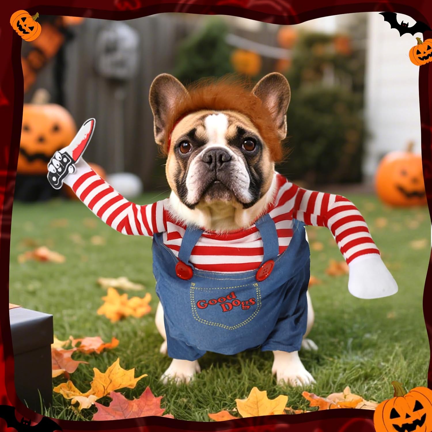 Thumbnail 6 de T2Y Dog Costume, Denim