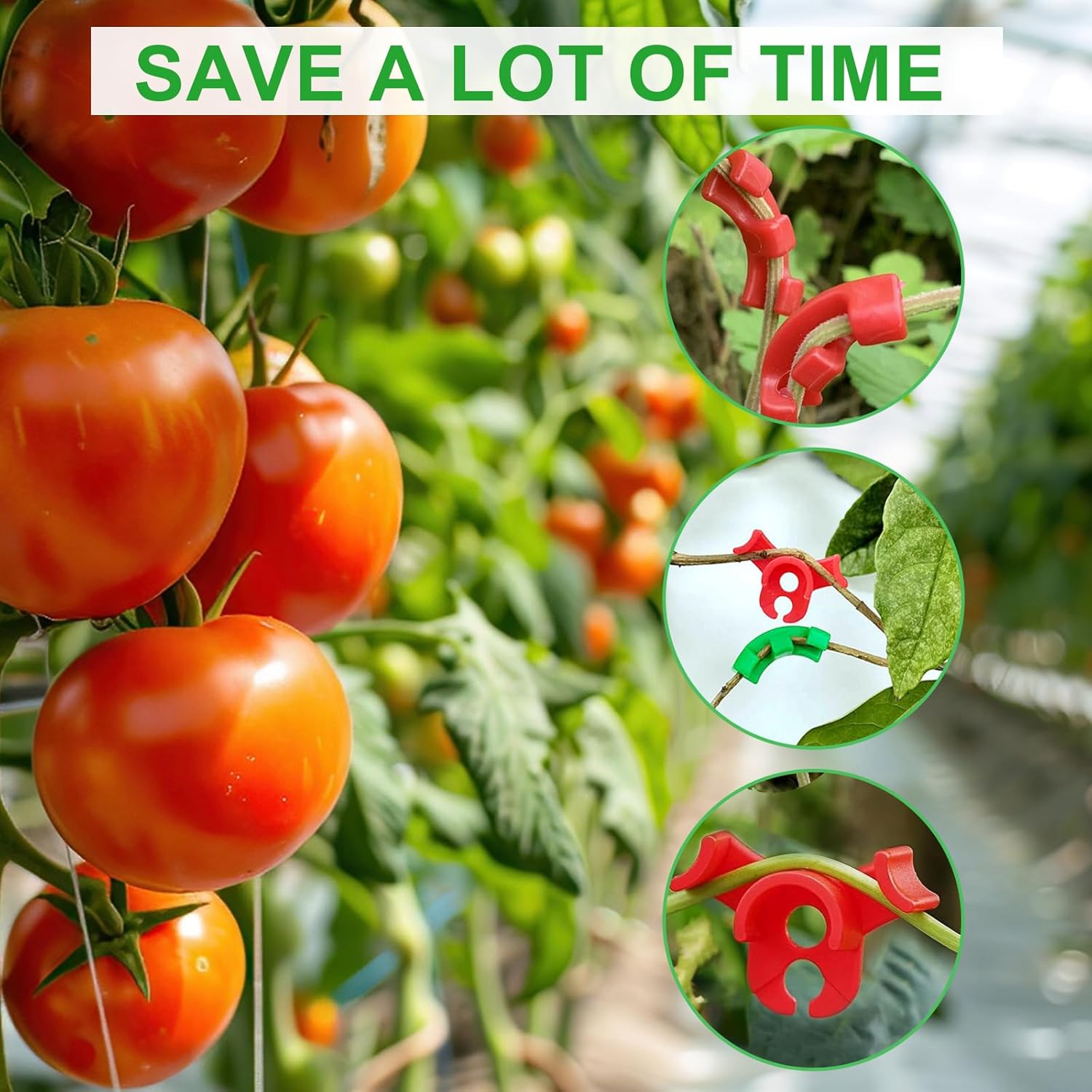 Thumbnail 3 de ZephyrCraft Pflanzenbieger-Clips (100 Stück) für 90° Low Stress Training – 30 große & 20 kleine in Rot & Grün