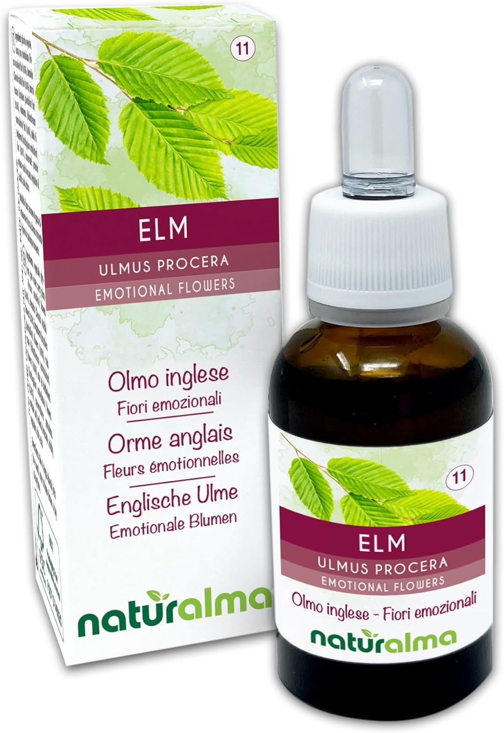 Detalle de Elm o Olmo inglese (Ulmus procera) Fiori emozionali Naturalma – Gocce 30 ml (analcoliche)