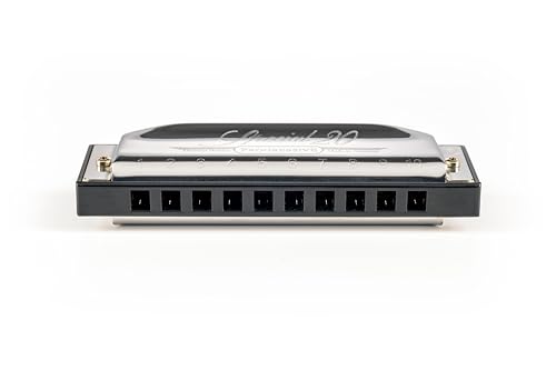 Detalle de Hohner Special 20, harmonica en do à plaques encastrées et sommier plastique