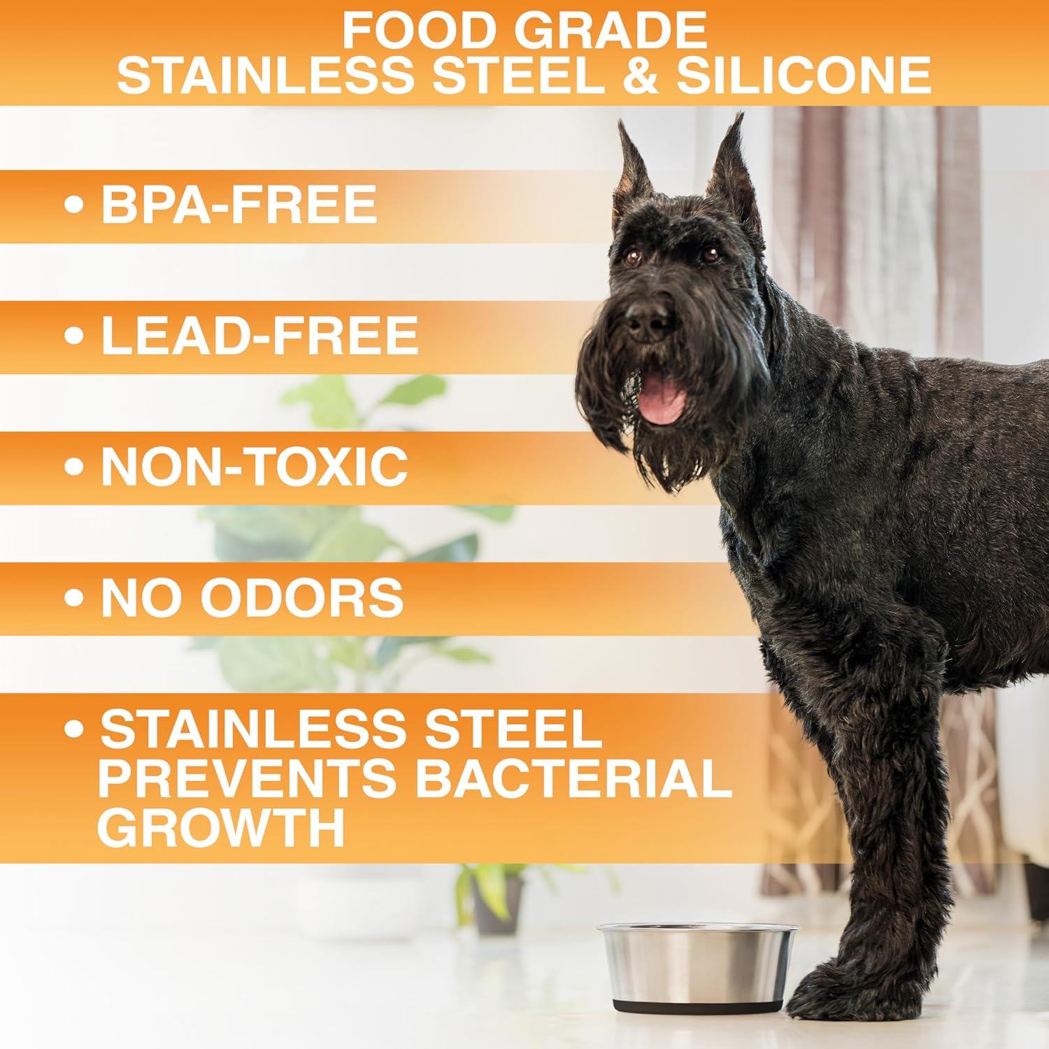 Thumbnail 2 de Neater Pet Brands 121-245-02 Stainless Steel Dog Bowls, 6-Cup, Set of 2