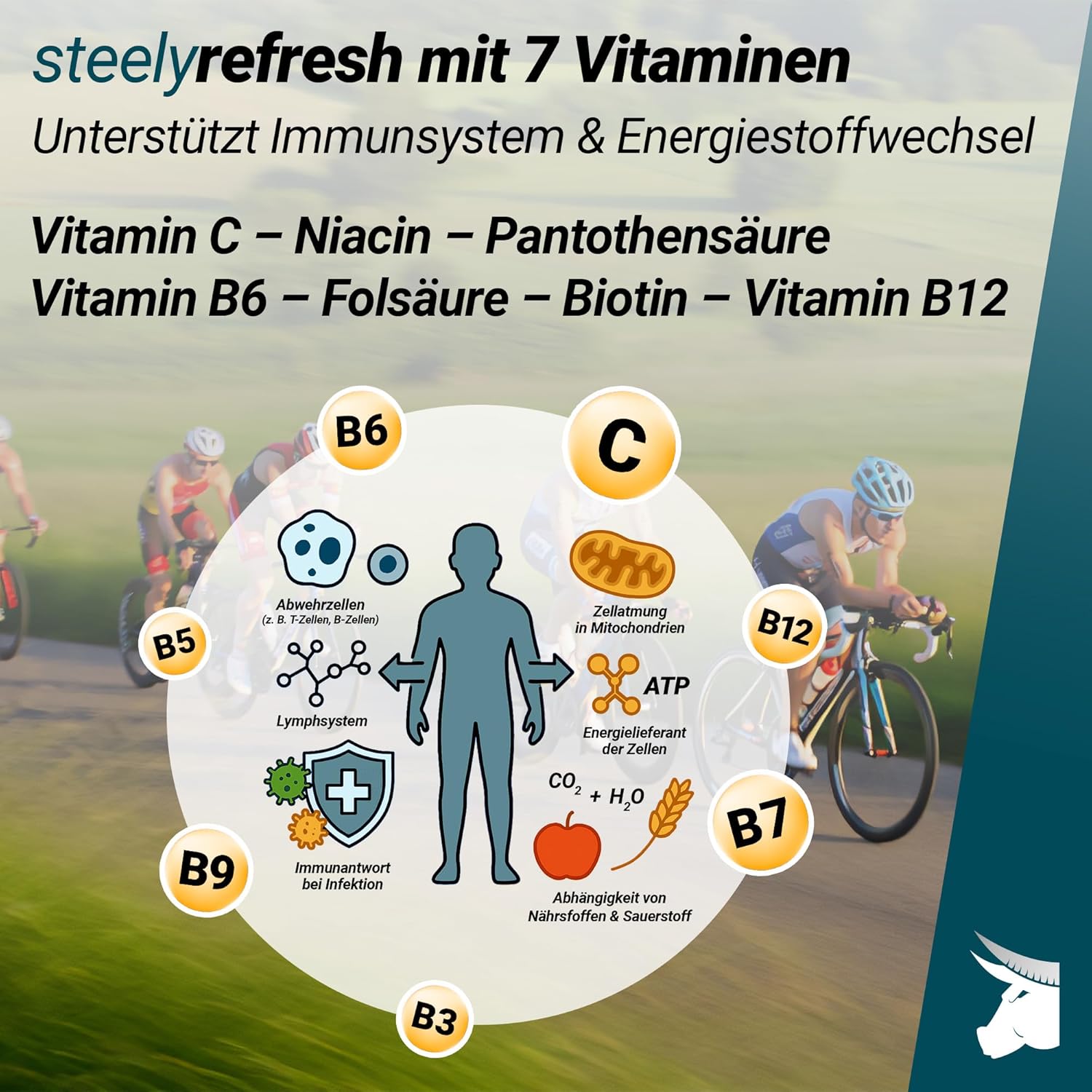 Thumbnail 2 de STEELY SPORTS SteelyRefresh 1L Sirup 🍹