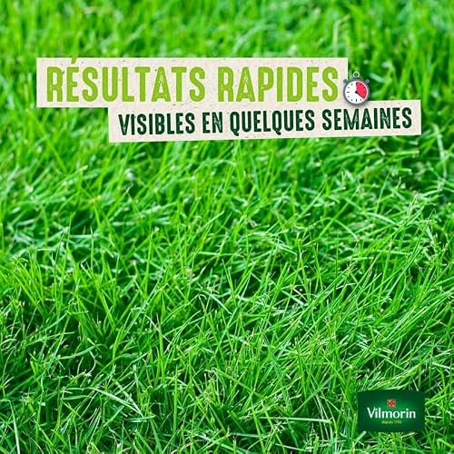 Detalle de Vilmorin Gazon Rustique, 3 kg — gazon Tous Terrains pour un espace vert dense