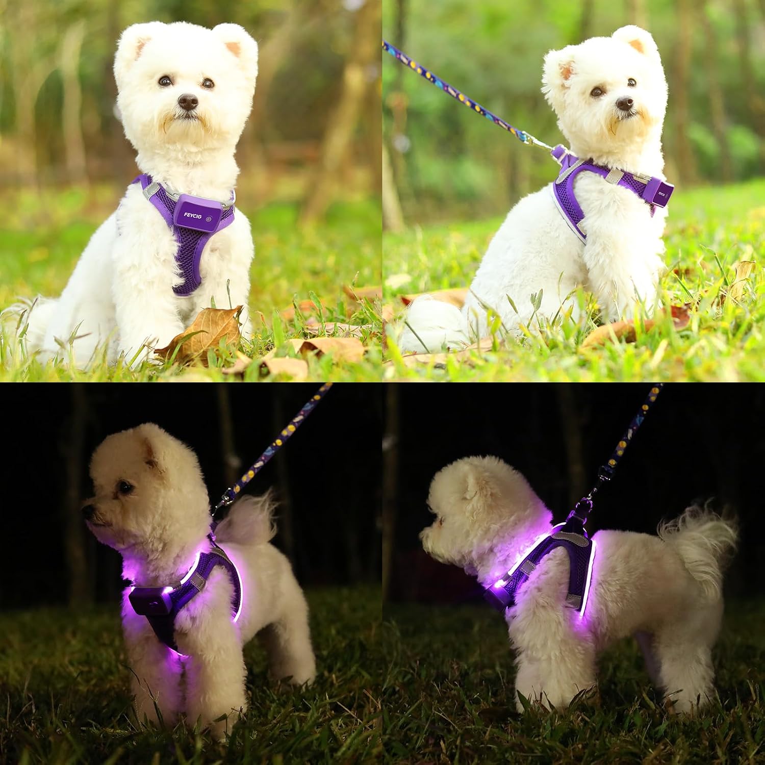 Thumbnail 4 de Feycig Leuchtendes Hundegeschirr LED Aufladbar Large