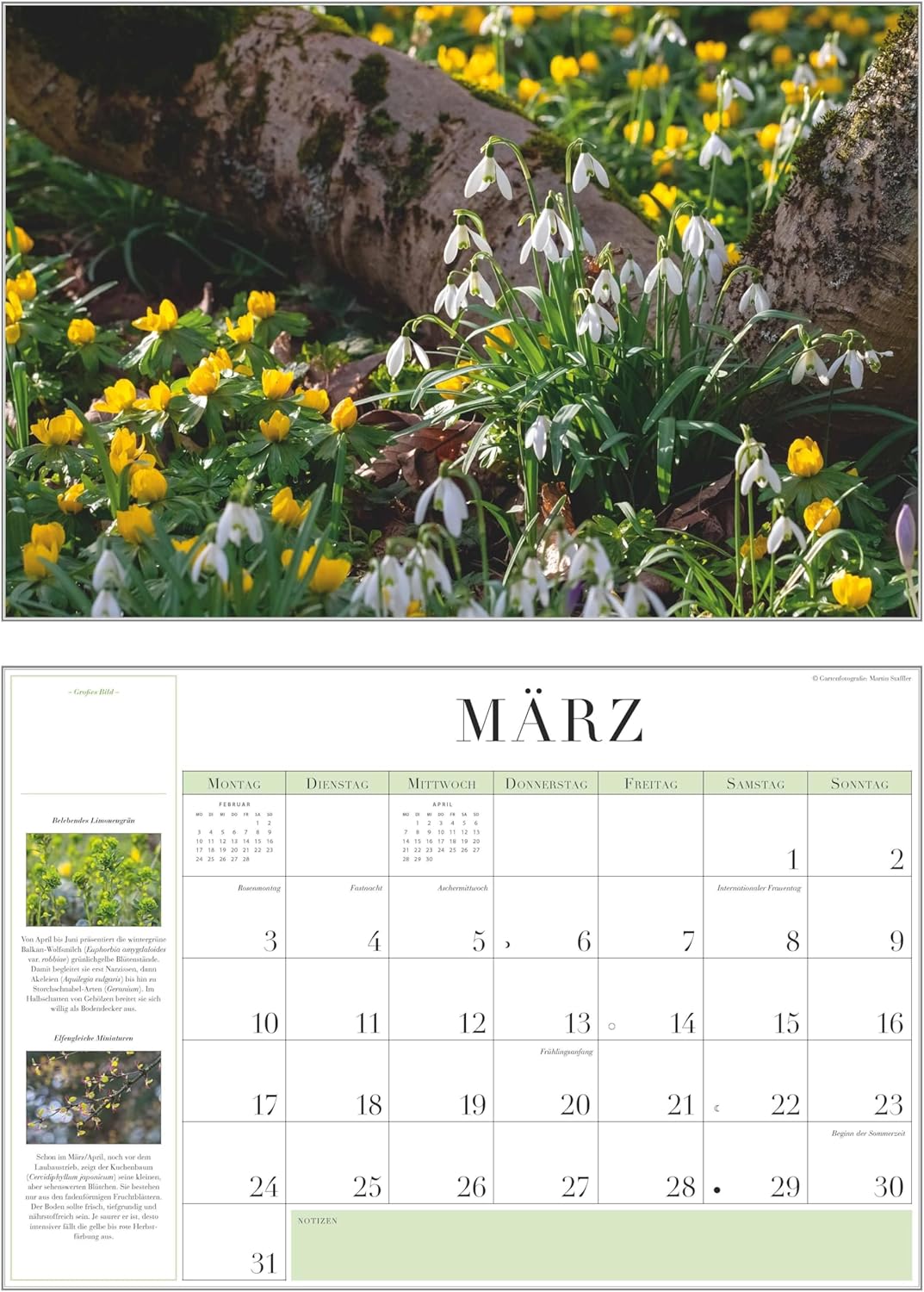 Thumbnail 2 de DUMONT Garten-Kalender 2026 (Broschürenkalender) 42 x 29 cm mit 12 Gartenfotos & Jahresplaner