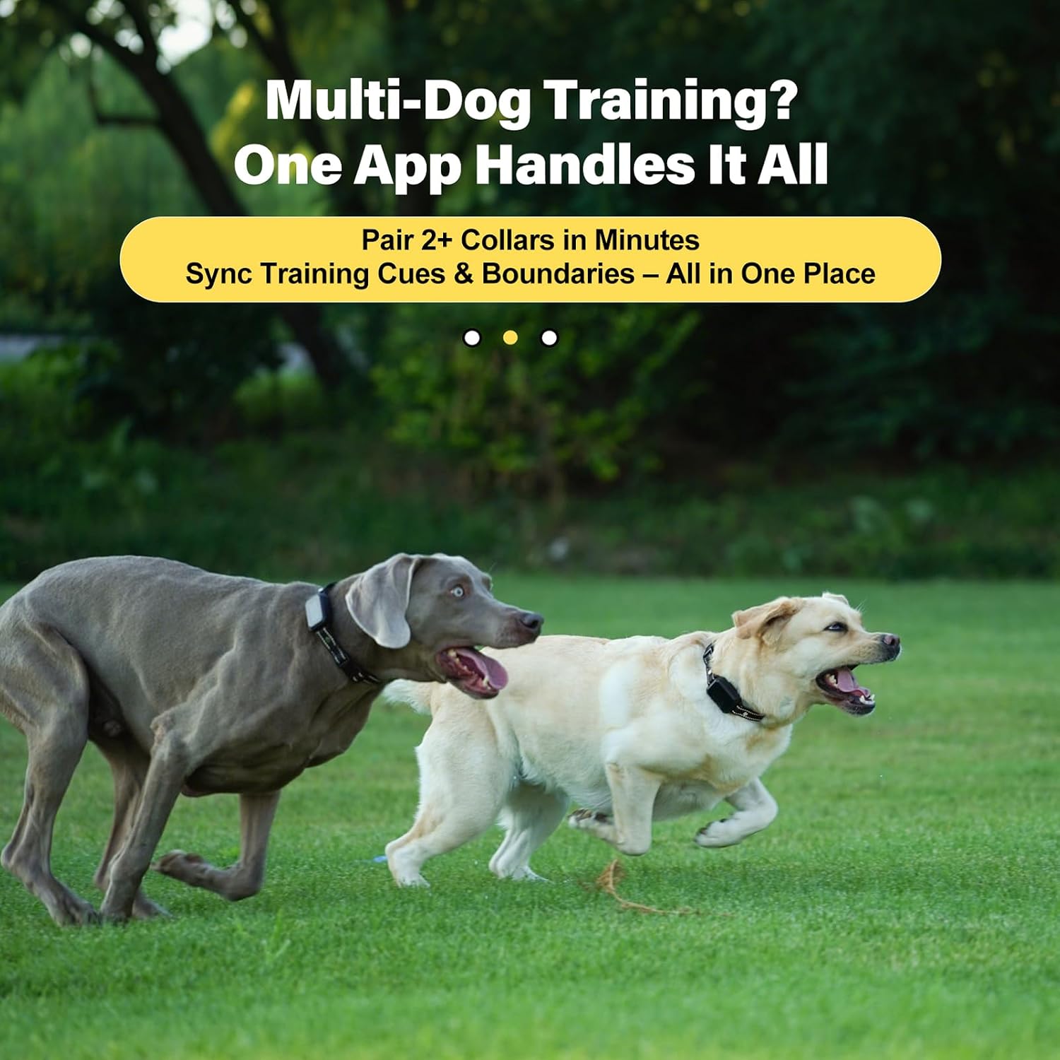 Thumbnail 5 de GPS Wireless Dog Fence System