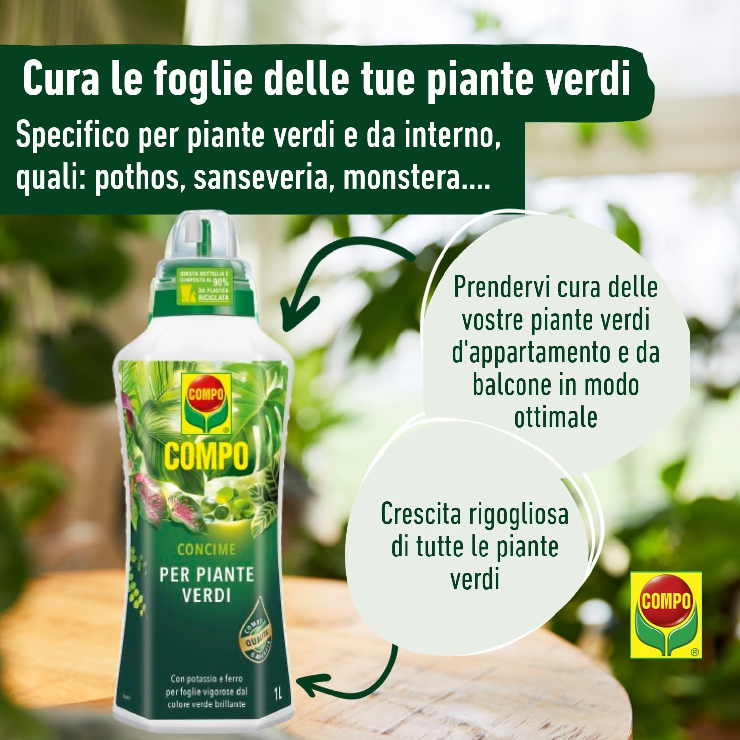 Detalle de COMPO Concime Liquido Per Piante Verdi 1L – nutrimento equilibrato per piante d'appartamento