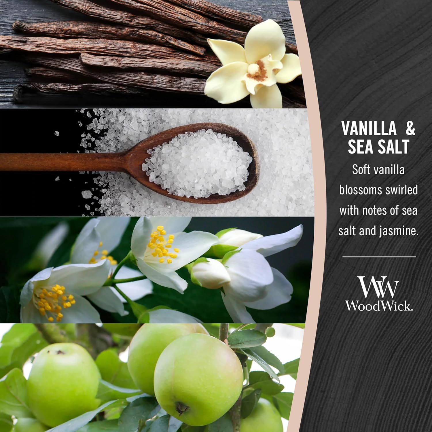 Detalle 2 de WoodWick bougie vanille sel marin