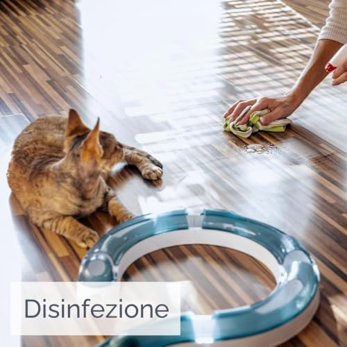 Detalle de SANITERPEN Sanifresh Disinfettante Profumante per Multisuperficie (1 L) – Profumo di menta, Francia