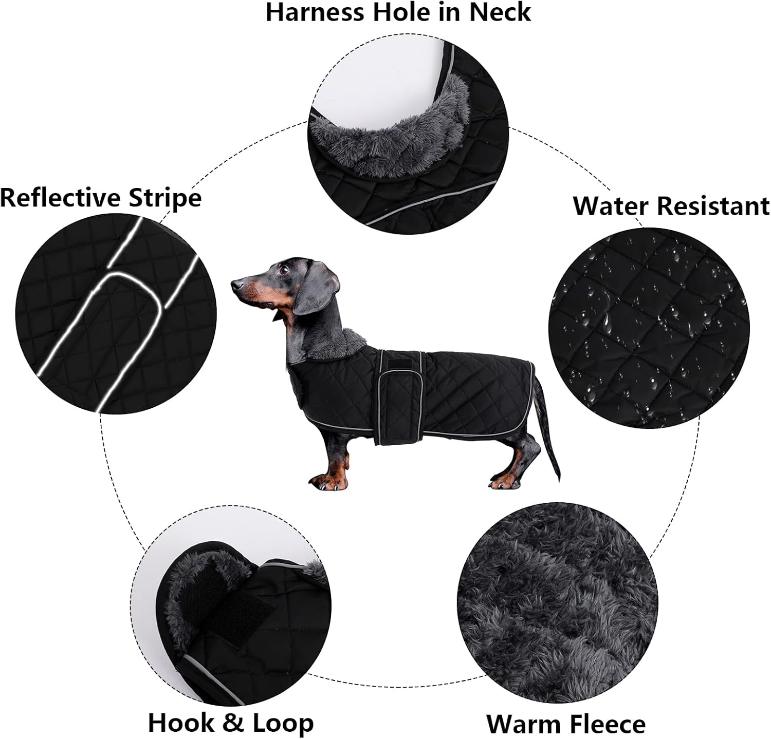 Thumbnail 2 de Morezi Dachshund winter coat with padded fleece lining (Black, XS)