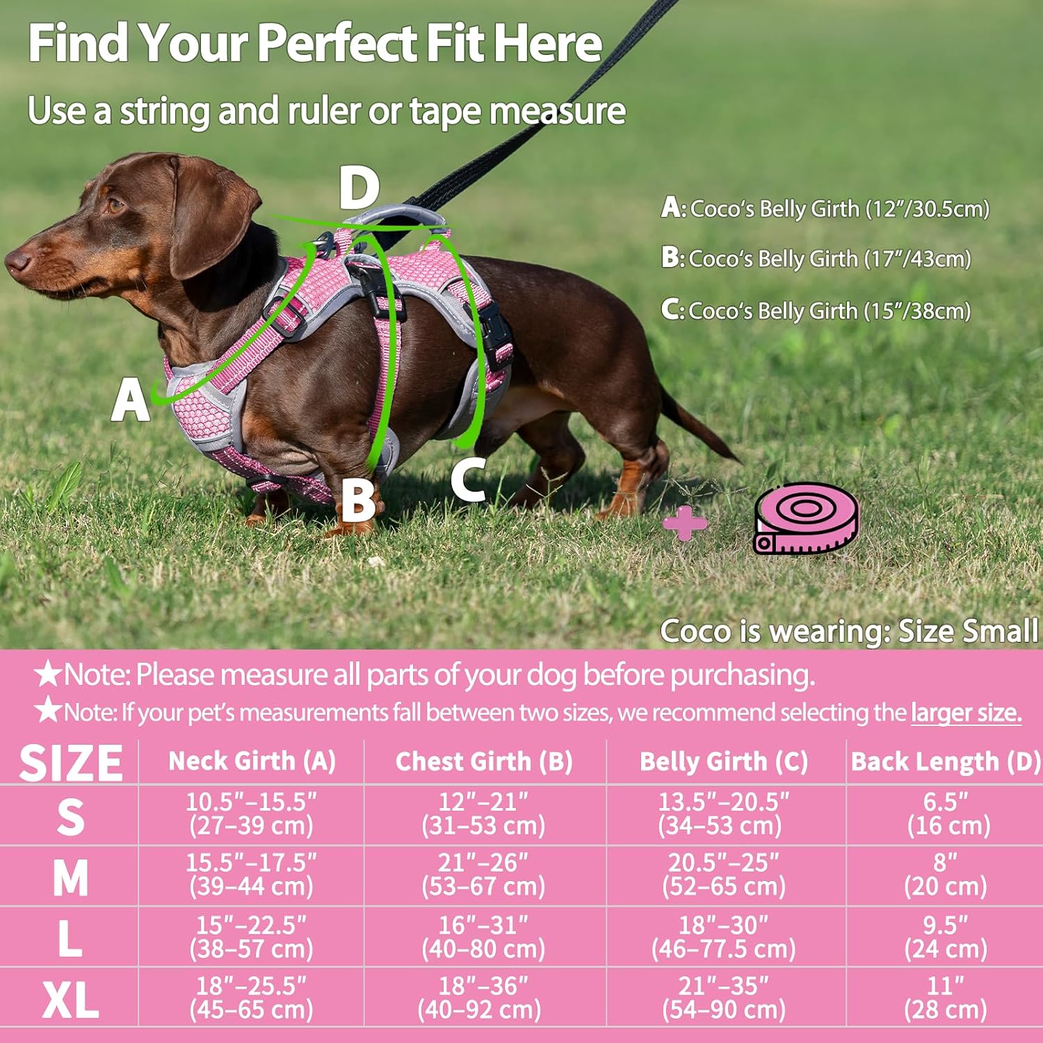 Thumbnail 5 de Huntboo Dog Harness, Size M