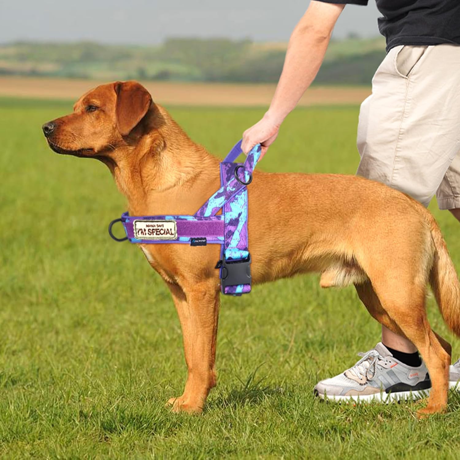 Detalle de Annchwool No Pull Dog Harness with Padded Handle + 5 Ft Leash (Camo Purple, Size S) for Training and Daily Walks
