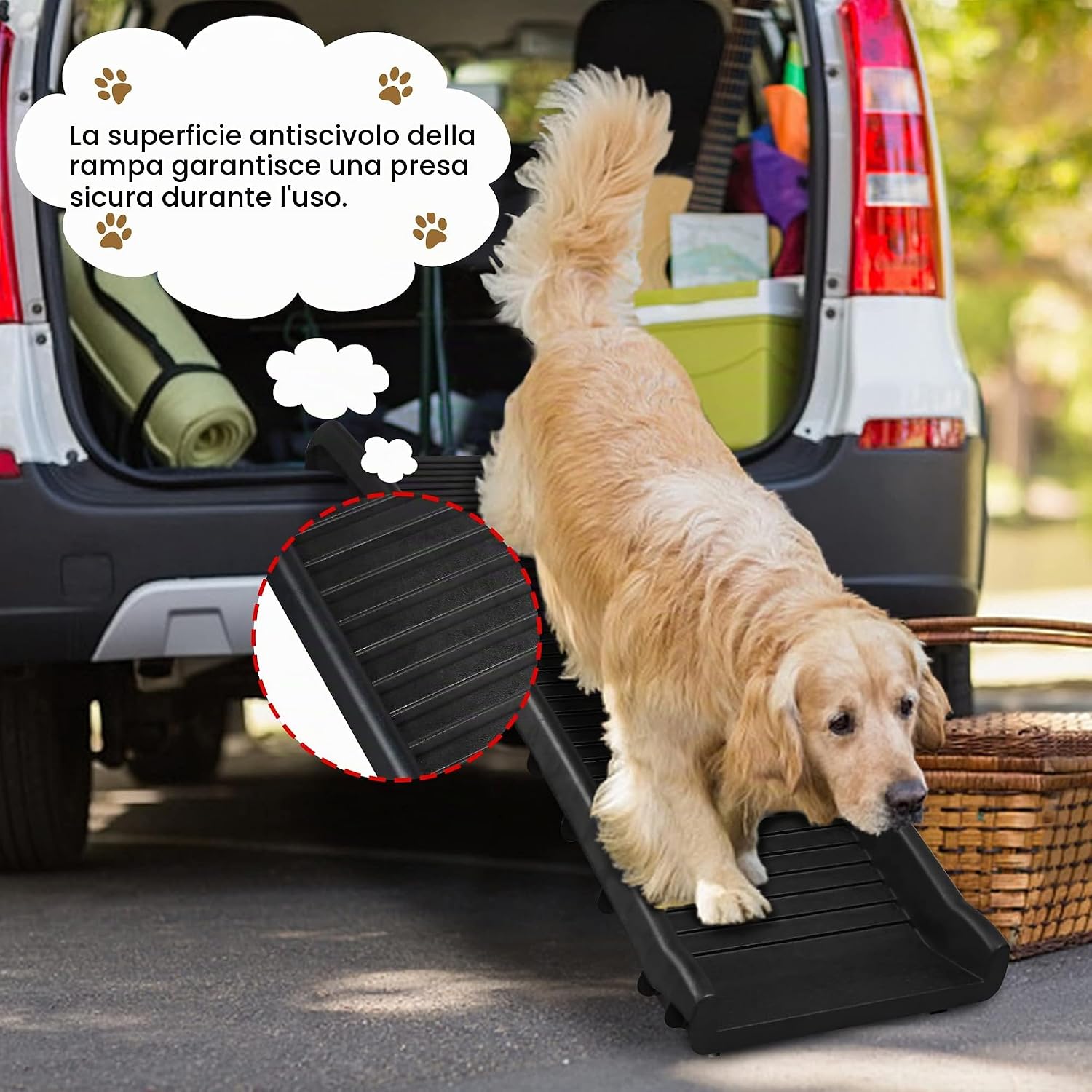 Detalle 2 de ACXIN Rampa per cani pieghevole: 156 x 40 cm, portata 90 kg