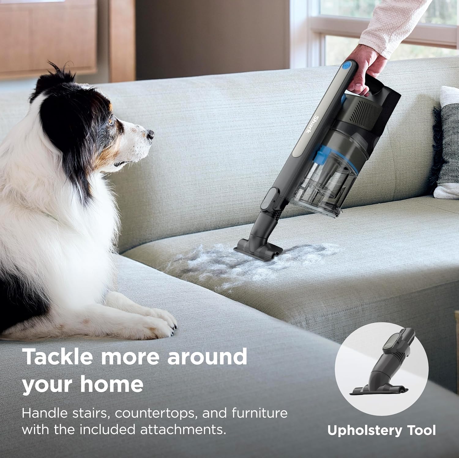 Thumbnail 6 de Shark PowerPro Reveal Plus IZ376H Cordless Vacuum, HEPA, FloorDetect, 40-Min Runtime