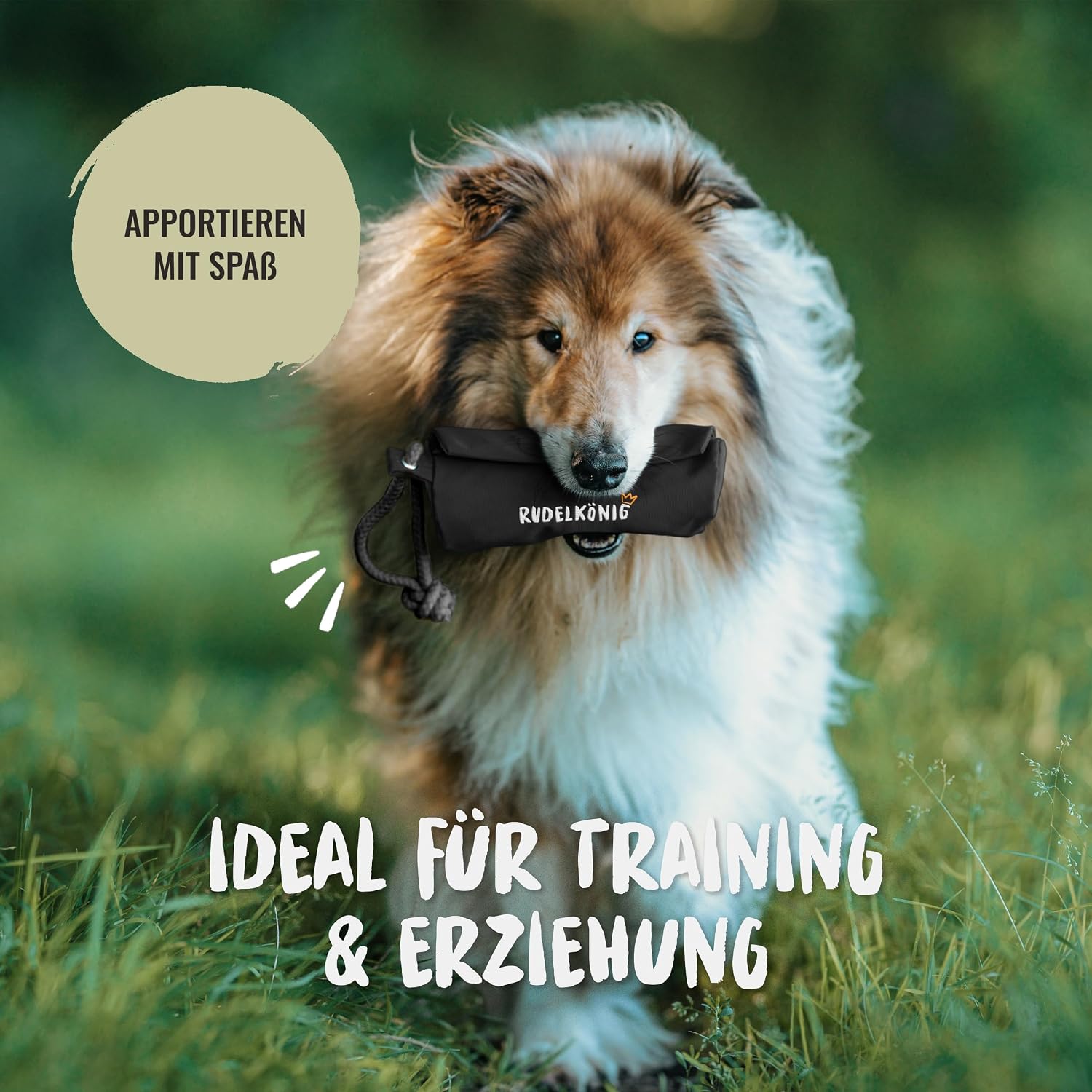 Detalle 2 de Rudelkönig Futterbeutel Hund Apportierbeutel für Training