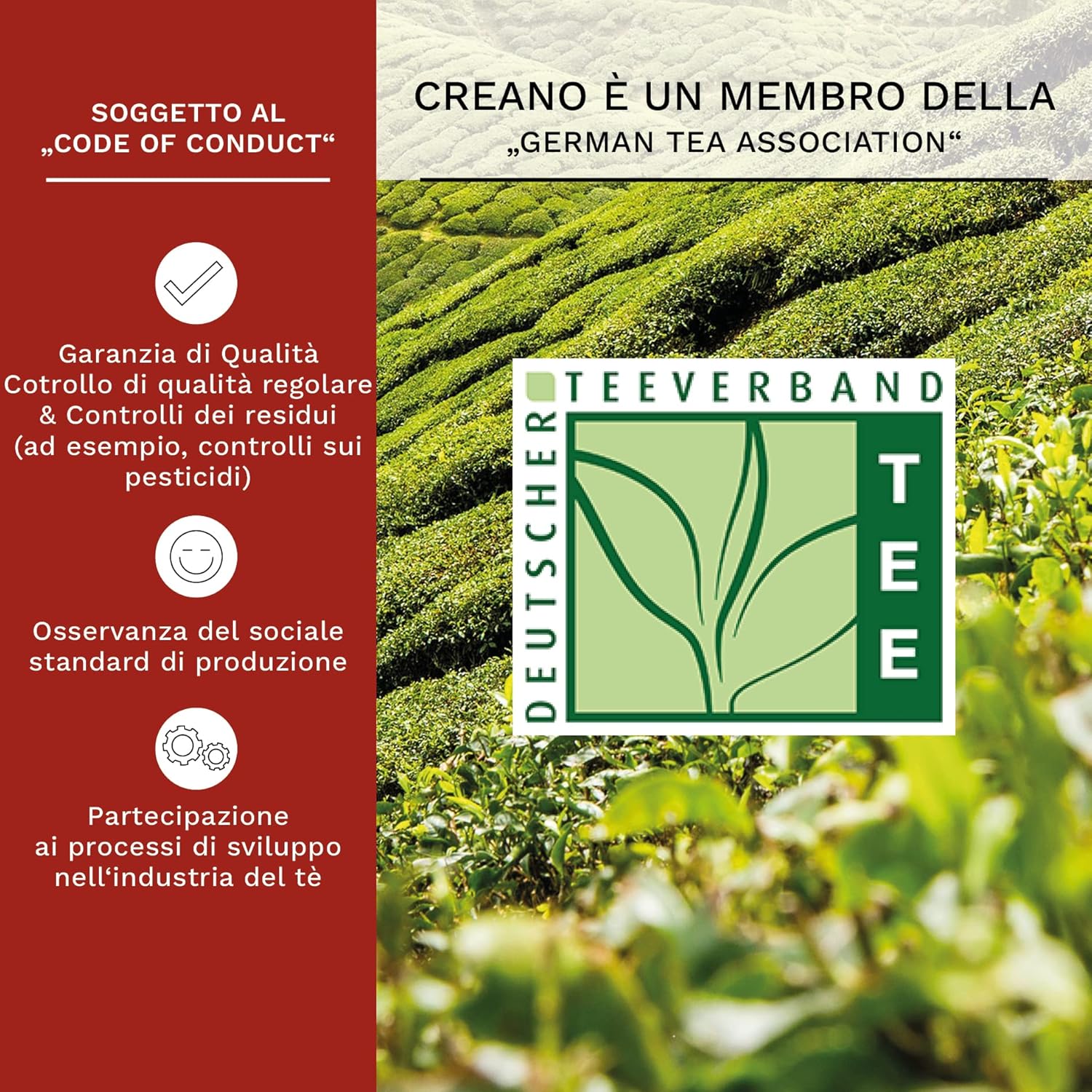 Thumbnail 3 de Creano Set Regalo Fiori di Tè in scatola di legno a cuore con teiera in vetro 500 ml e 6 tè bianco