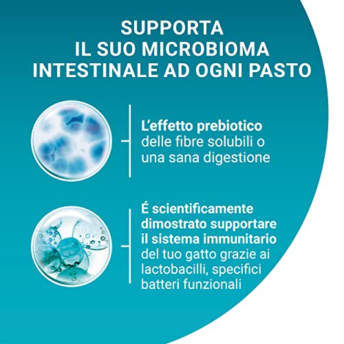 Detalle de Purina ONE Junior Cibo Umido per Gattini – 48 Bustine da 85 g