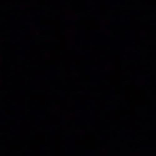 Rise Above the Meadow 🌿