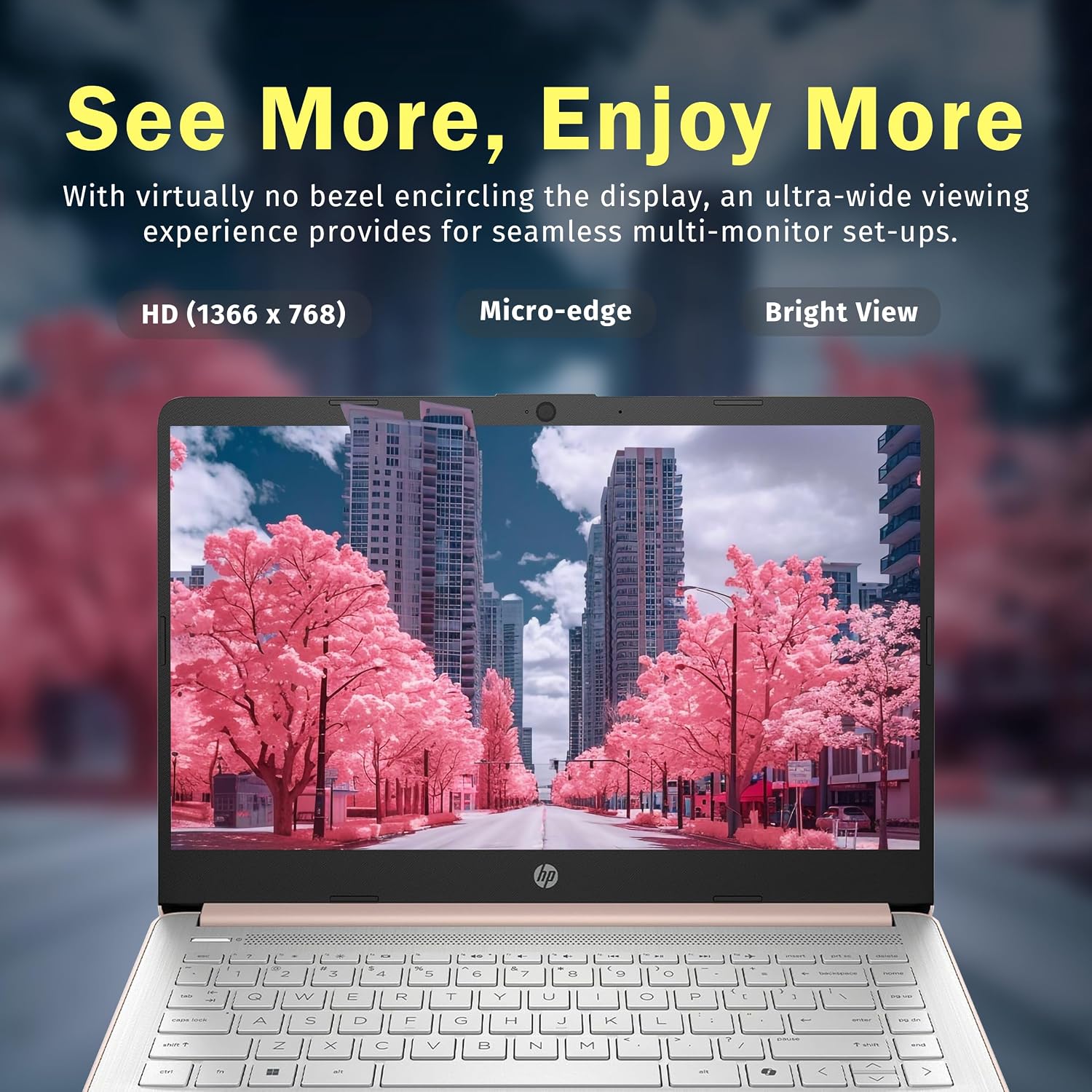 Detalle de HP 14-inch laptop