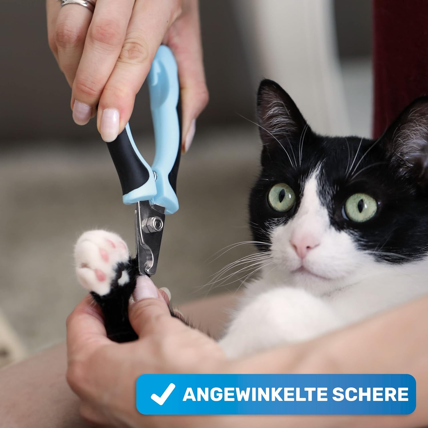 Detalle de BluePet Kleine Krallenschere für kleine Hunde, Katzen & Kleintiere – Angewinkelter Schneidekopf, Ergonomisch & inklusive Krallenfeile