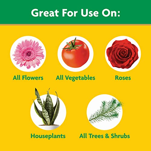 Detalle de Miracle-Gro Water Soluble All Purpose Plant Food, 3 lb — Quick, Versatile Nutrition for Indoor and Outdoor Plants