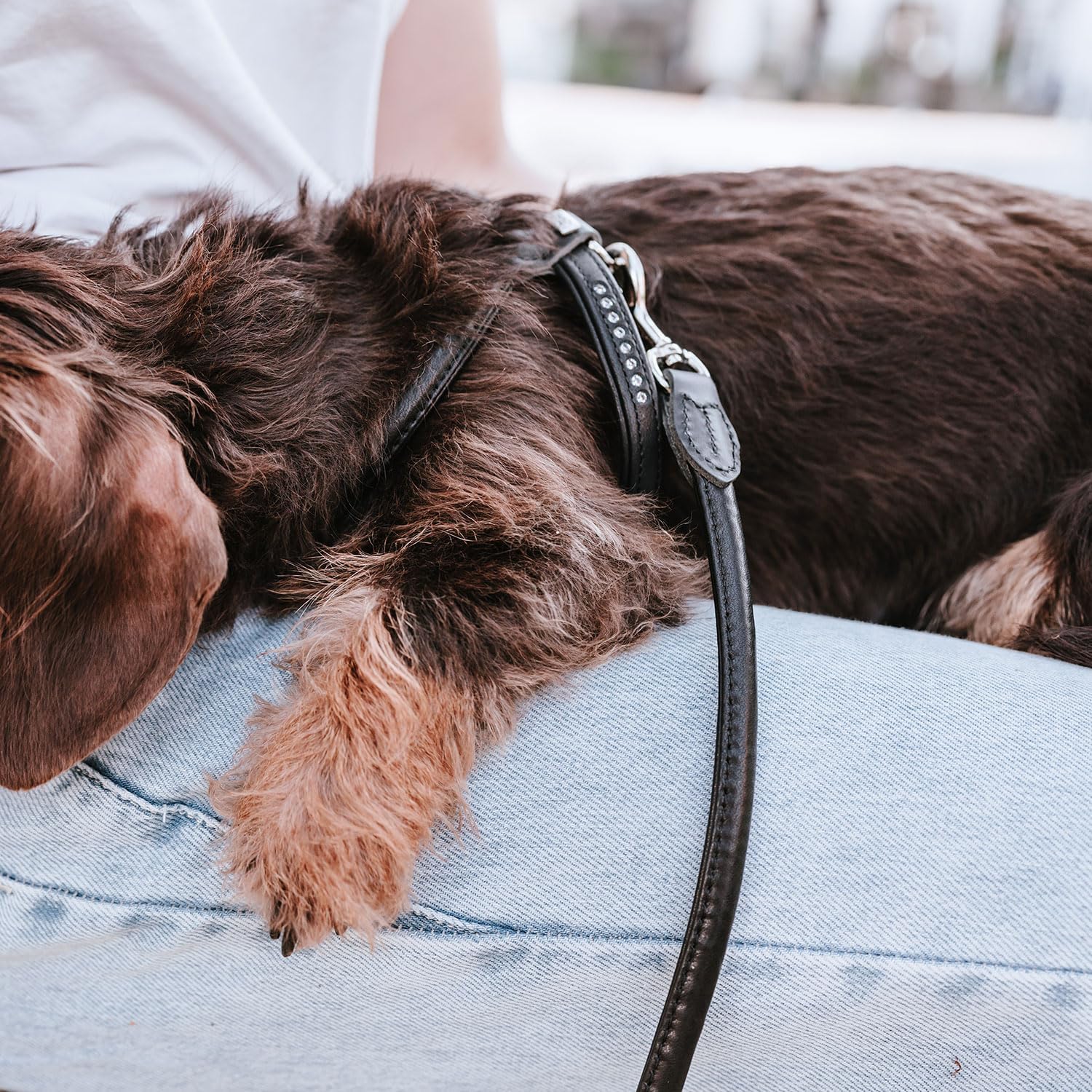 Thumbnail 5 de Hunter Round & Soft Canadian UP Hundegeschirr aus Leder (schwarz) – Größe S/2