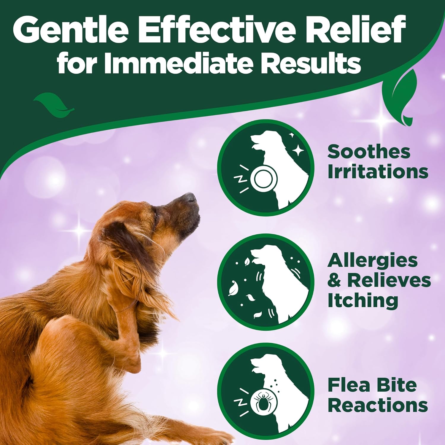 Detalle 2 de Vet's Best Spray Naturale Contro Prurito Allergico per Cani, 250 ml