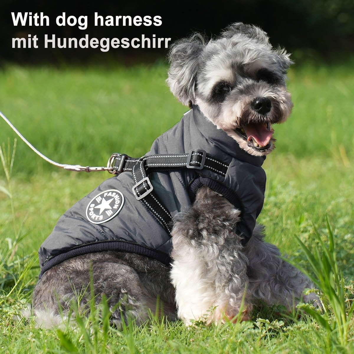 Thumbnail 5 de Aywoja Dog Coat with Harness 8 Sizes