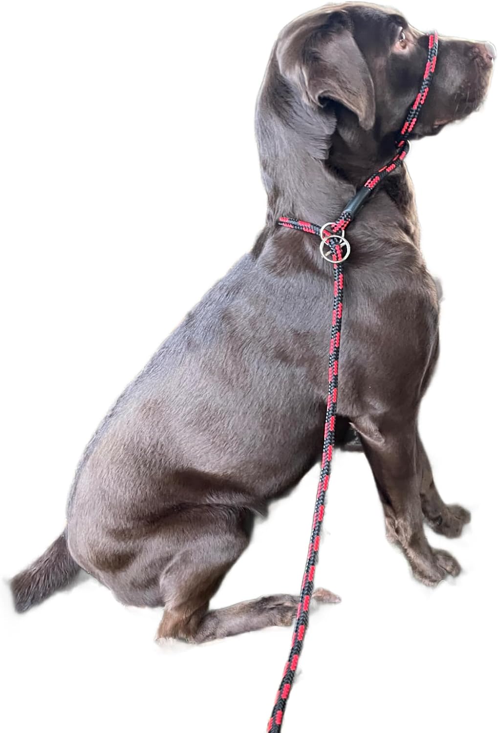 Detalle de L&J Pets UK All-In-One Figure 8 Anti-Pull Dog Lead & Head Collar – No-Pull Training Halter (Red/Black)