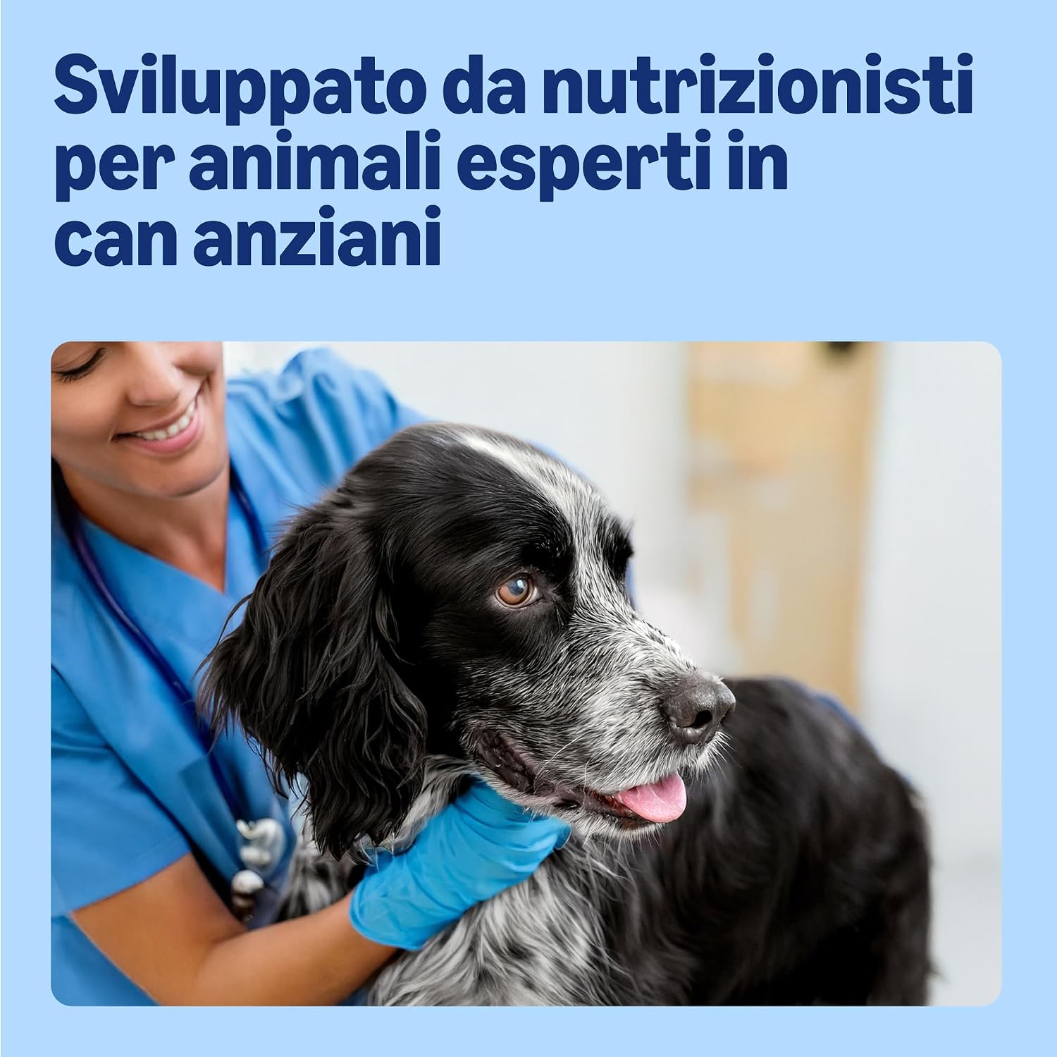 Detalle de By Amazon Alimento completo per cani anziani, Selezione di carne in gelatina, 4.8 kg (48 sacchetti da 100 g)