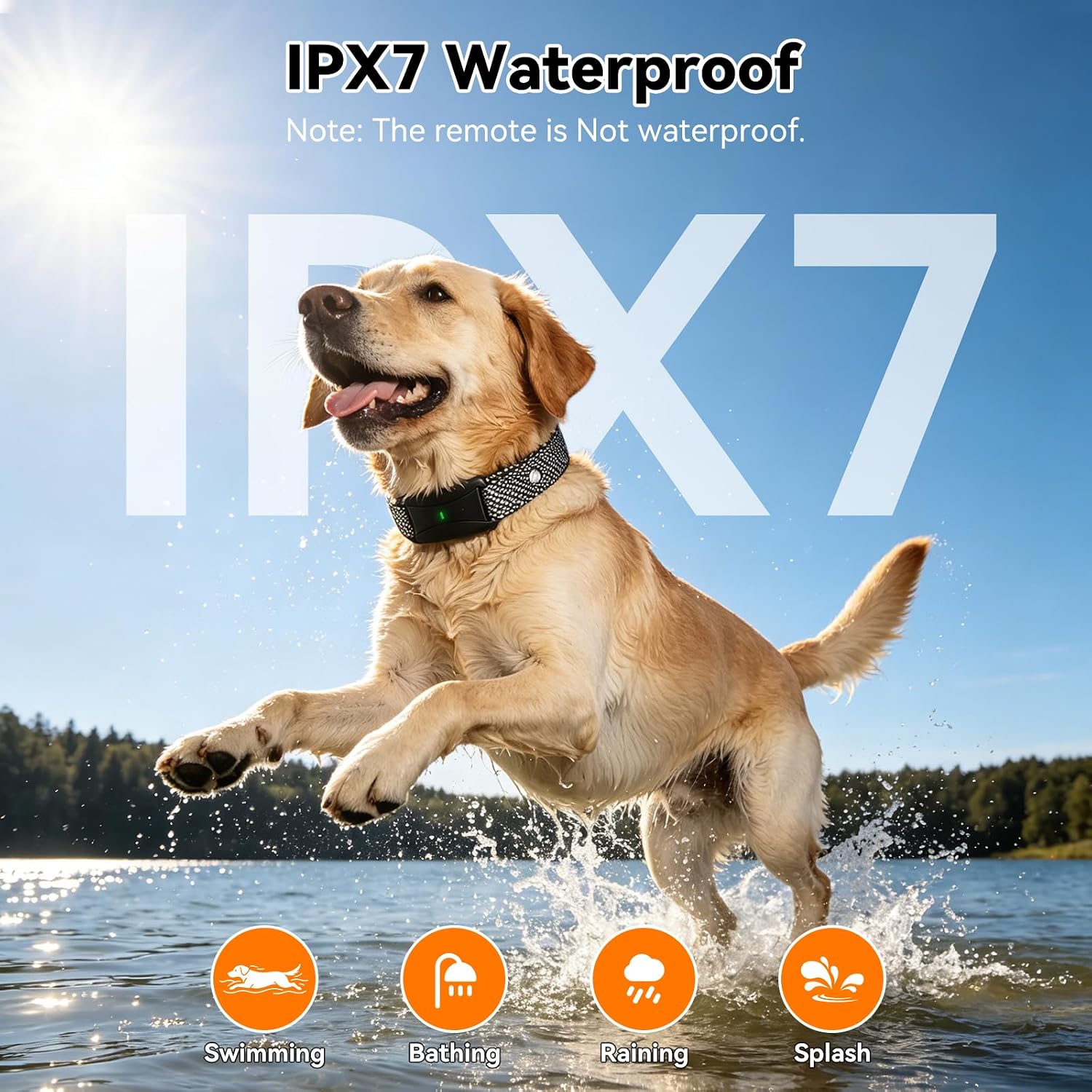Detalle 1 de Wireless Dog Fence System