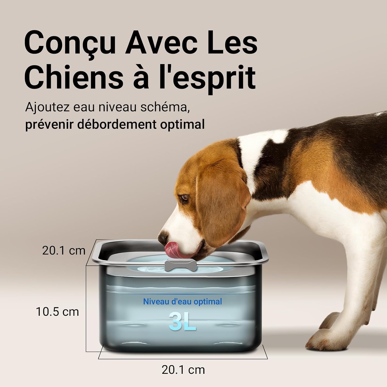 Detalle 2 de DownyPaws Gamelle Anti-Éclaboussures pour Chien – 3L en Acier Inoxydable, Noir