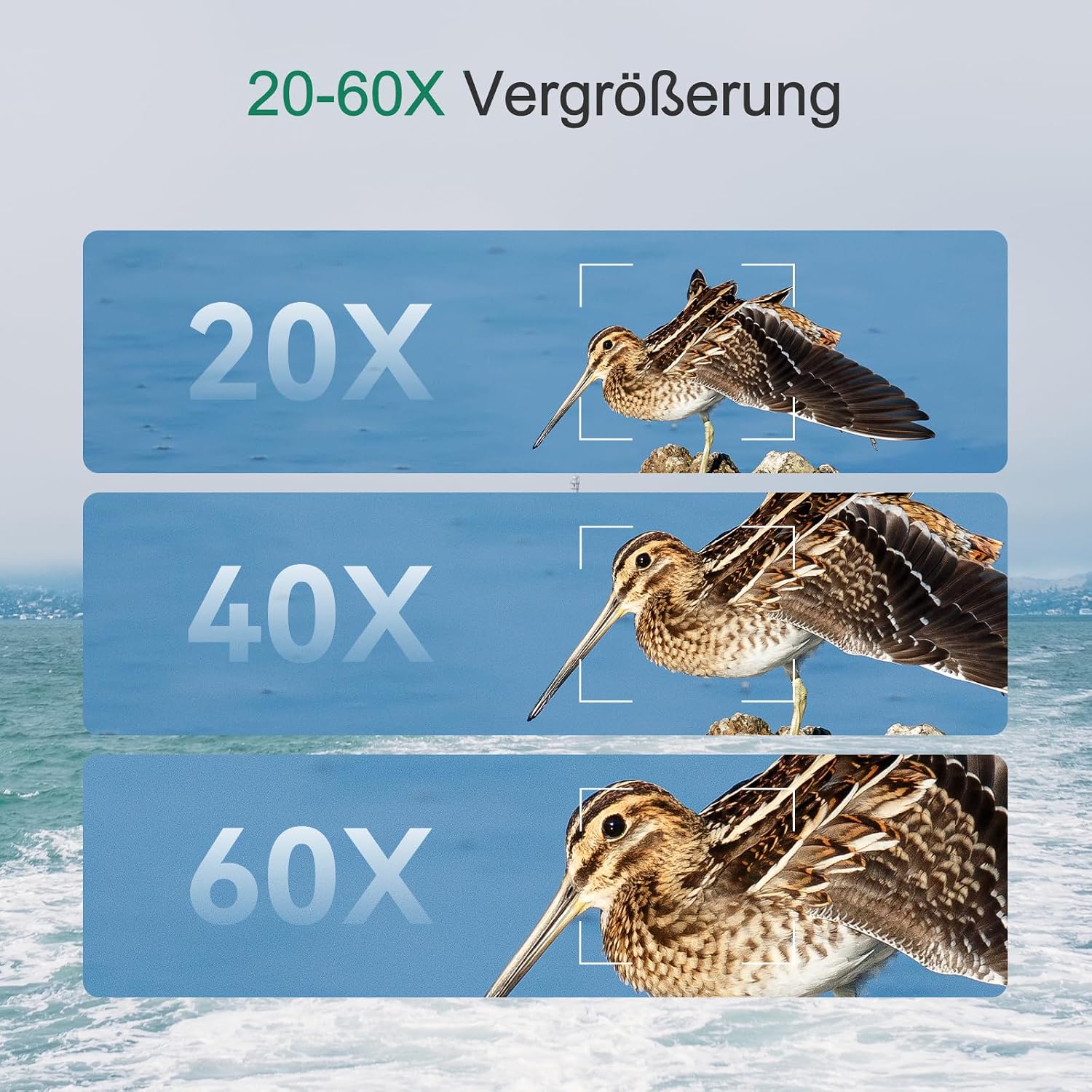 Thumbnail 5 de Svbony SV406P 20-60x80 Spotting Scope