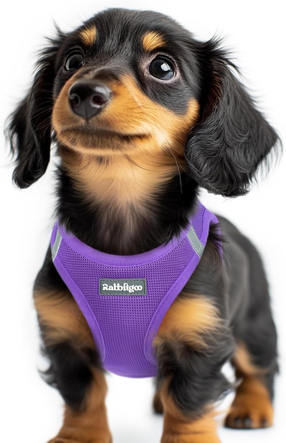 Detalle de rabbitgoo XXS Dog Harness for Tiny Dogs – Step-in Soft Mesh, Reflective, Purple