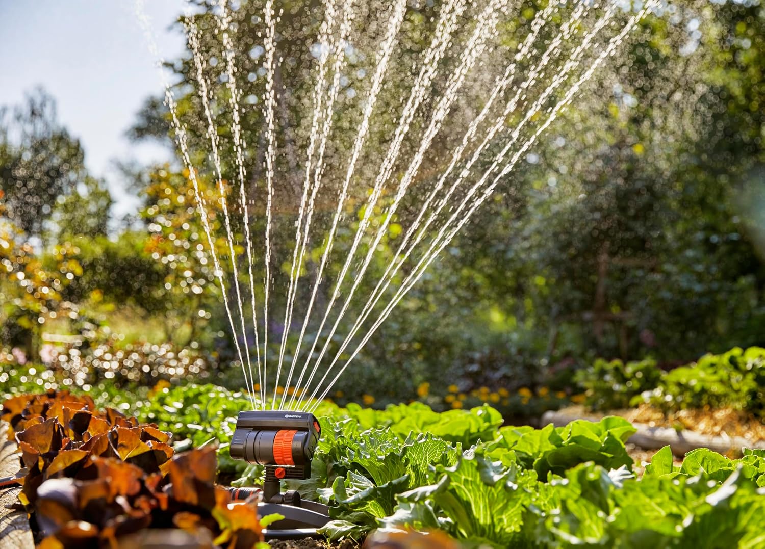 Detalle de Gardena Viereckregner AquaZoom compact – flexible Bewässerung für Nutz- und Zierflächen 9–216 m²