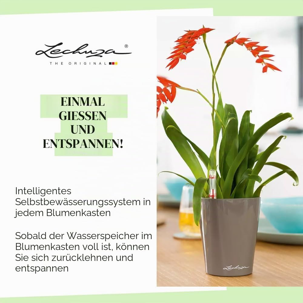 Thumbnail 5 de Lechuza MINI-DELTINI Komplettset weiß – All-in-One Pflanzgefäß mit Bewässerungssystem
