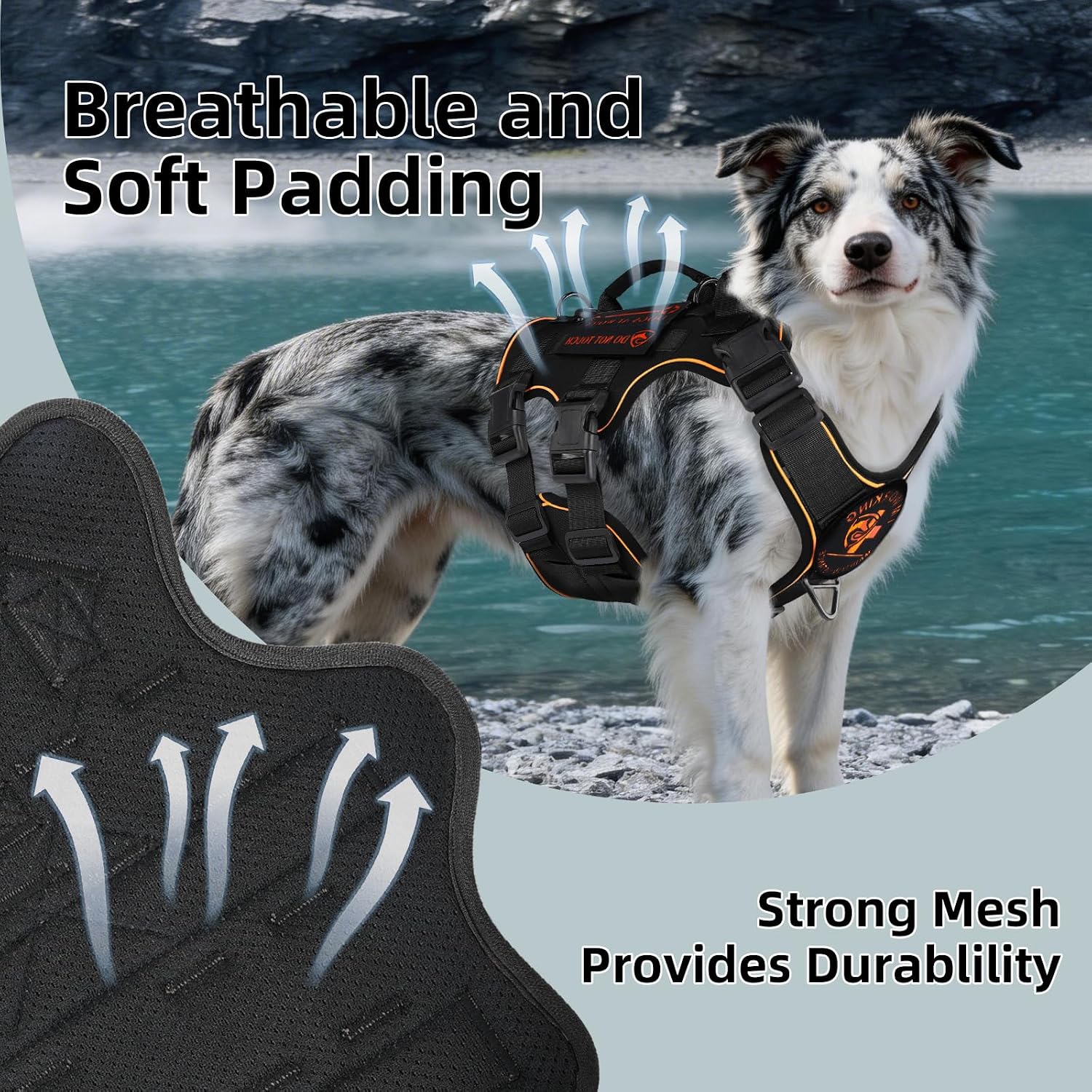Detalle 2 de Dog Harness, Size M