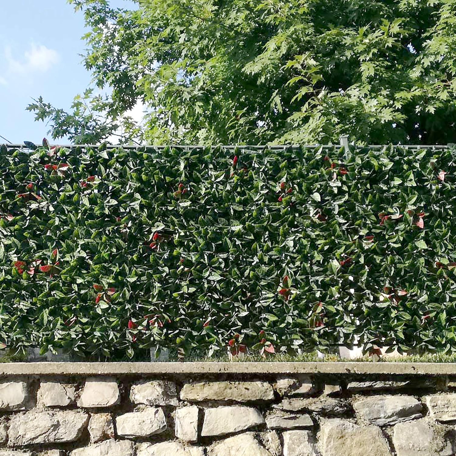 Thumbnail 4 de TENAX Divy 3D Plus Photinia: Siepe Sintetica 1,00x3m con Foglie 3D