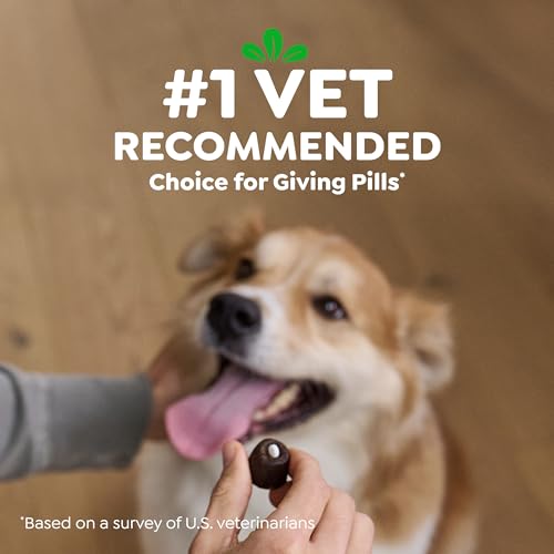 Thumbnail 6 de Greenies Pill Pockets Small Dog Treats, Chicken Flavor, 3.2 oz