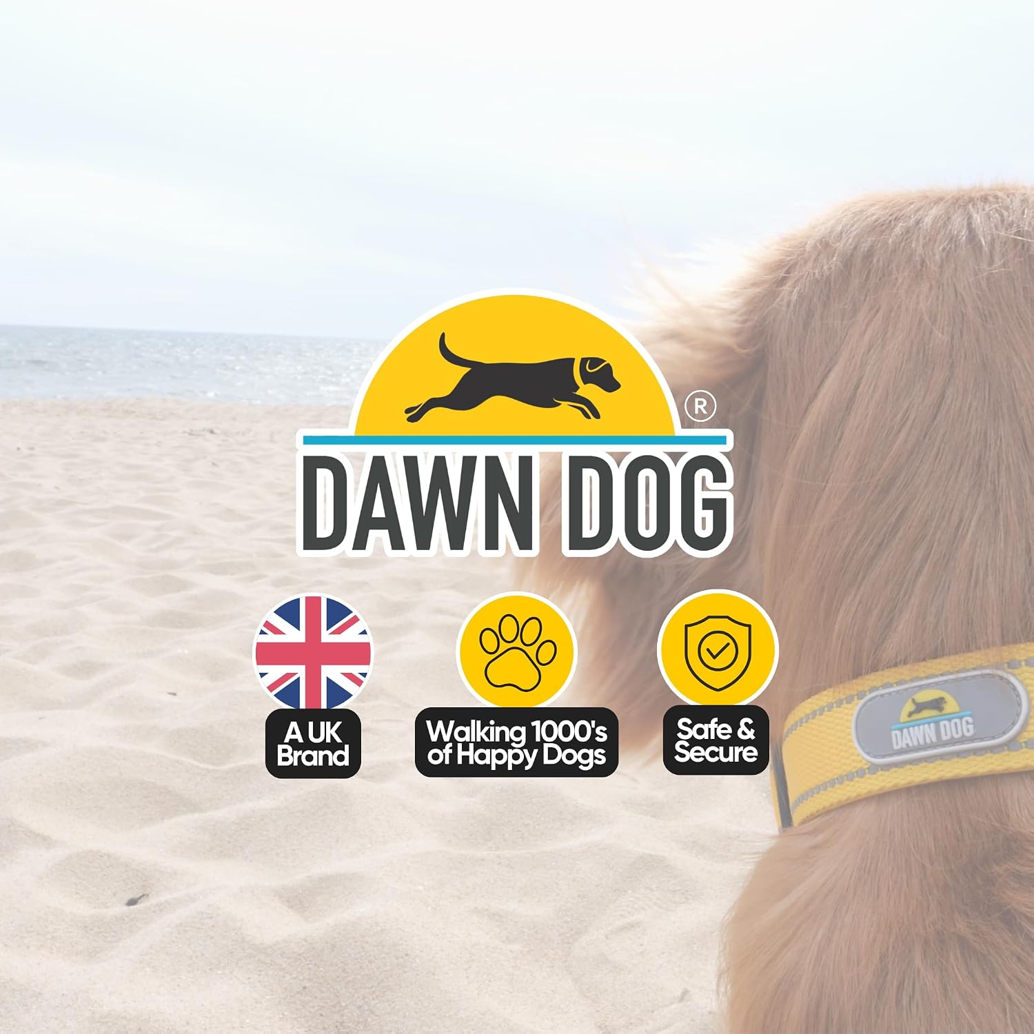 Thumbnail 6 de Dawn Dog Collar Large - Reflective, Soft & Padded Breathable Nylon Collar