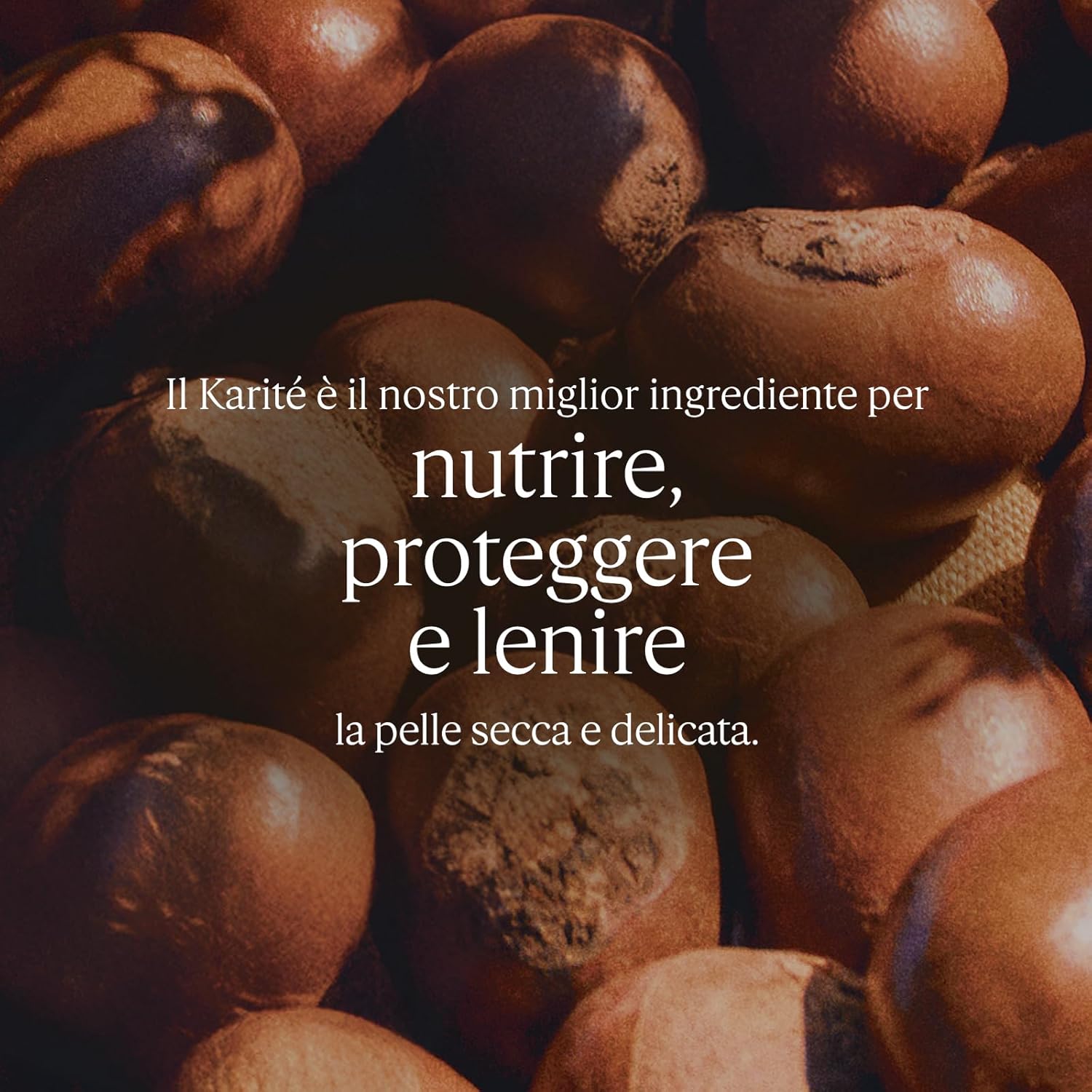 Detalle 2 de L'OCCITANE Crema Viso Ultra Ricca Karité 50 ml: nutrimento intenso per pelli secche e sensibili